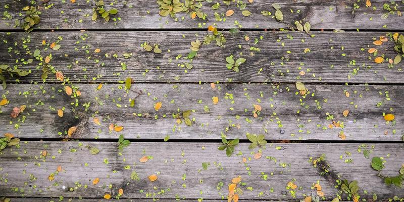 BCDH6时代：NFV在电信云中的演进与开源平台实践