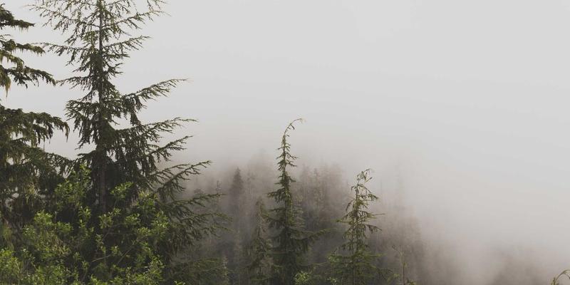 P4可编程数据平面技术：重塑网络安全与网络创新的未来