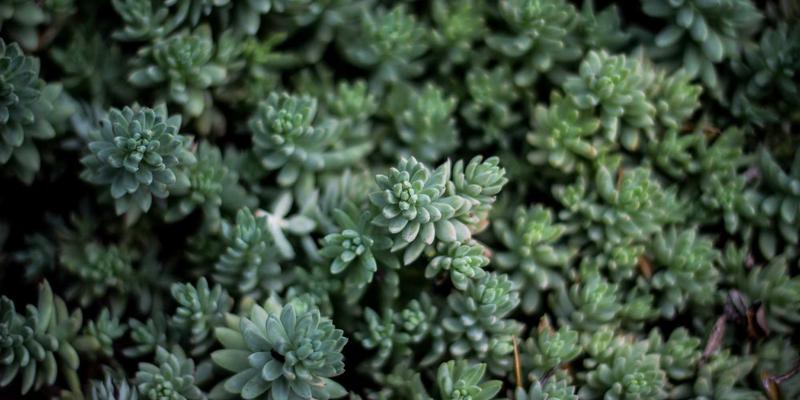 Wi-Fi 7核心技术解析：多链路操作与确定性低延迟如何重塑编程与网络安全