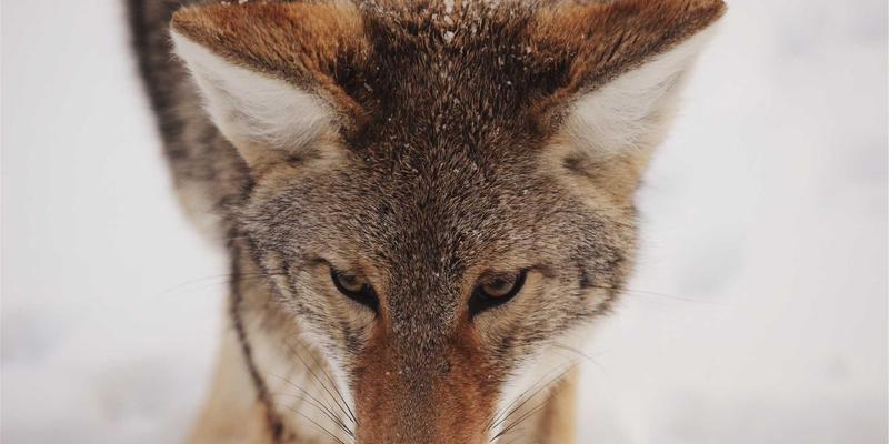 开源与安全并重：时间敏感网络(TSN)如何重塑工业自动化的实时通信保障机制