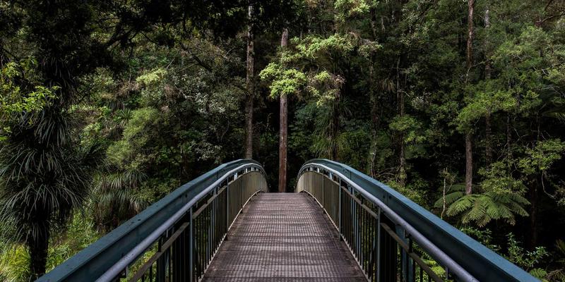 开源赋能，安全无忧：基于AI的智能网络运维（AIOps）如何重塑故障预测与自愈能力