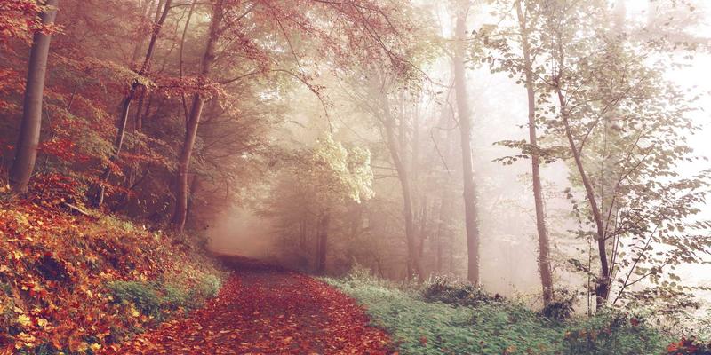 科技新范式：基于开源与编程的零信任网络架构(ZTNA)如何破解混合办公安全难题