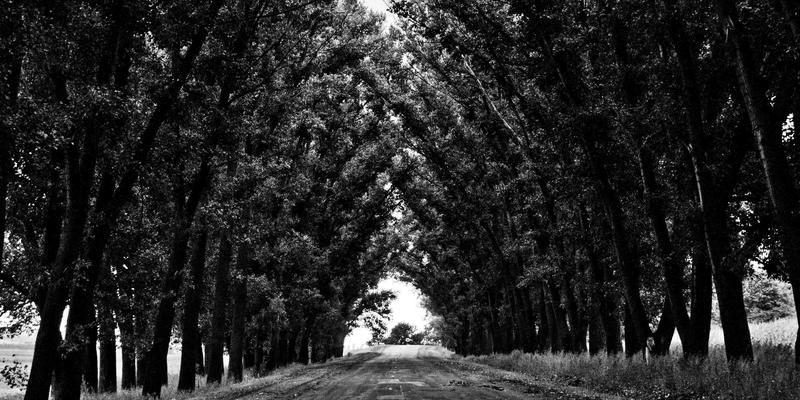 突破远程安全壁垒：零信任网络架构(ZTNA)实施中的四大难点与BCDH6网络技术应对策略