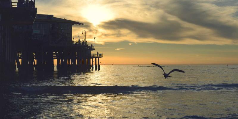 编程视角下的网络革命：SD-WAN与SSE集成趋势深度解析与资源分享