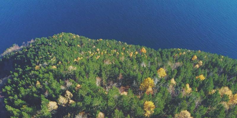 网络技术87：揭秘现代科技背后的核心开发工具与架构演进