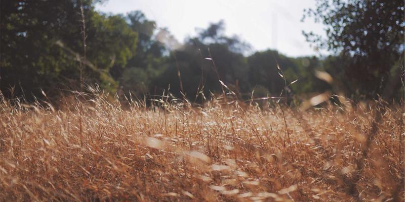 网络技术演进：从传统三层到现代叶脊拓扑的数据中心架构变革